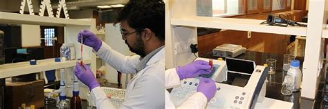 Rice husk biochar removes fluoride from groundwater, prevents drinking ...