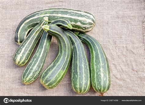What Size Is A Large Zucchini at Nathan Mcnicholas blog