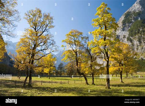 Image result for Simple CNN Example
