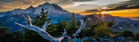 Washington 的图像结果