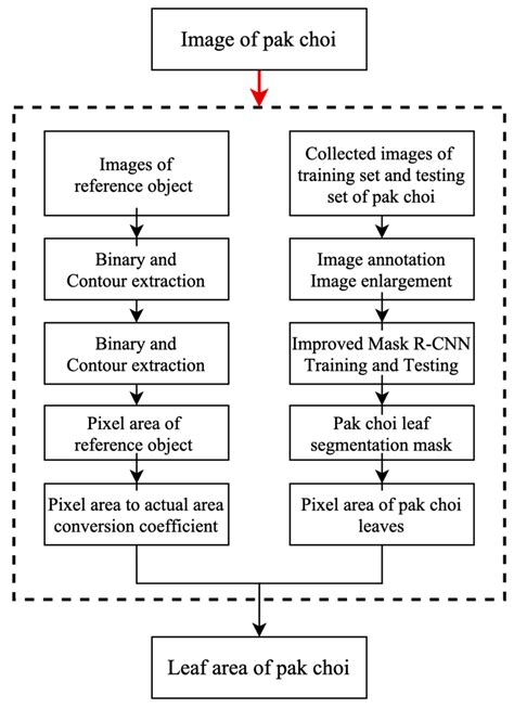 A Method for Calculating the Leaf Area of Pak Choi Based on an Improved ...