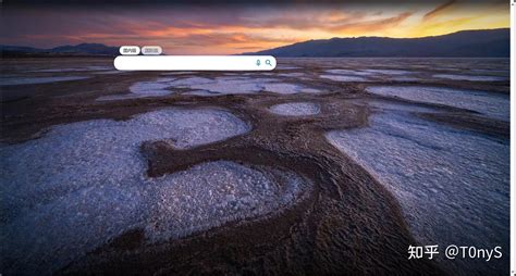 Bing搜索 的图像结果