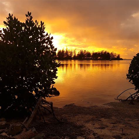 CHARMING HOLIDAY LODGE (Meedhoo Island) - Hotel Reviews, Photos, Rate ...