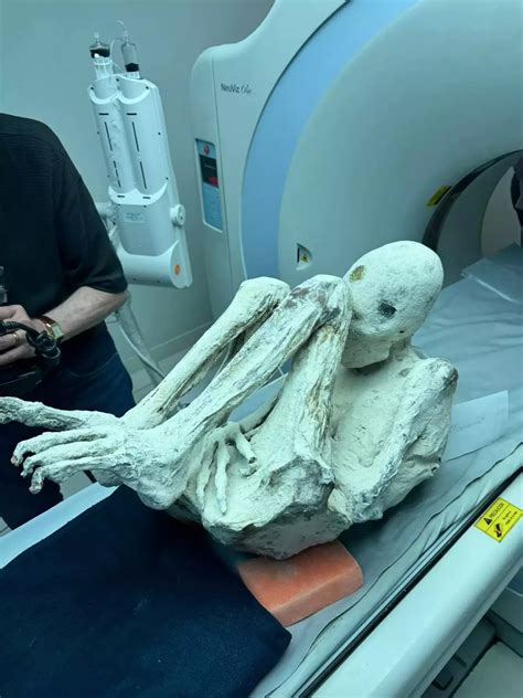 Alien Mummies 的图像结果