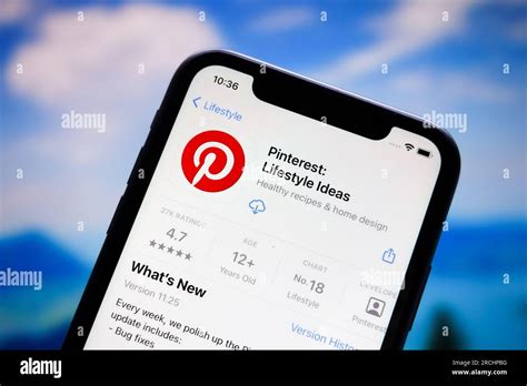 Rezultat imagine pentru Application Pinterest.com