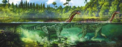 贵州茅台镇发现大规模蜥脚类恐龙足迹群_资讯_环境生态网