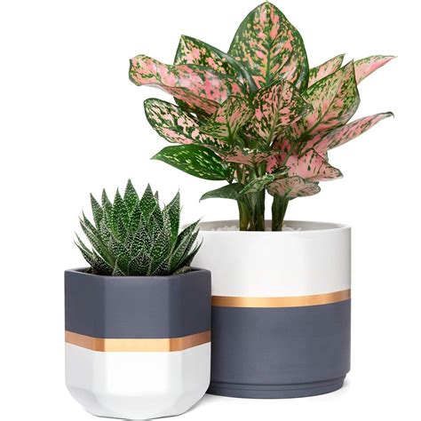 28 of The Best Indoor Plant Pots Habitat - indoor plant
