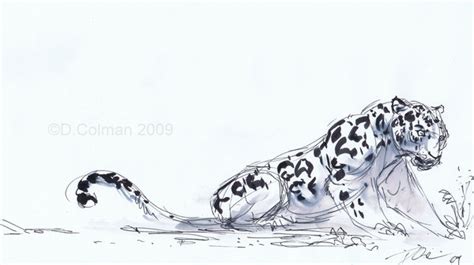 Jaguar Animal Drawing Best - Drawing Skill