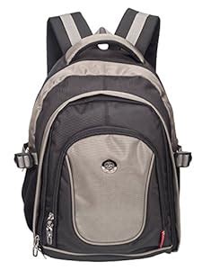 Buy Cosmus Apollo 15.6 inch Casual Laptop Backpack/Travel Laptop Bag ...