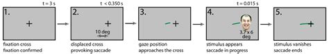 Visual Perception of Facial Emotional Expressions during Saccades
