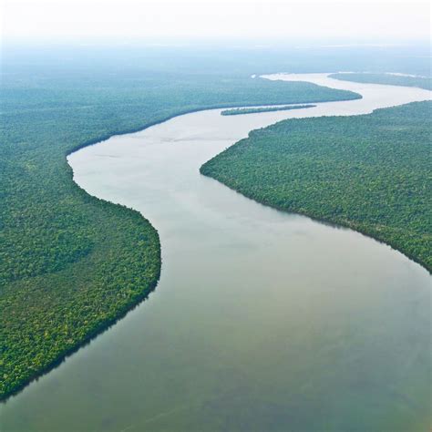 Amazon River - South America's Iconic Waterway