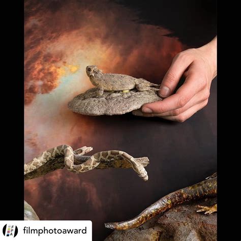 Film Photo Award Fall 2022 — Griffin Editions