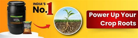 Katyayani Activated Humic Acid + Fulvic Acid 98 Fertilizer (Drum Packi