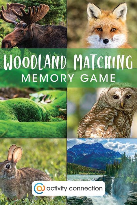 Image result for Activity Connection