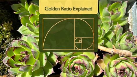 How Have Computer Randomize Python に対する画像結果