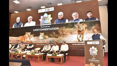 Asiatic lion conservation in focus at IBCA 2026 pre-event