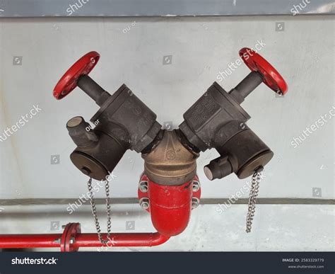 Fire Department Connection Fdc Fire Hydrant Stock Photo 2583329779 ...