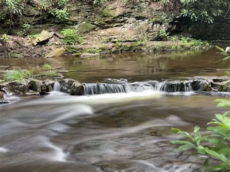 Genetic Methylation Testing Near Wilkes-Barre & Scranton