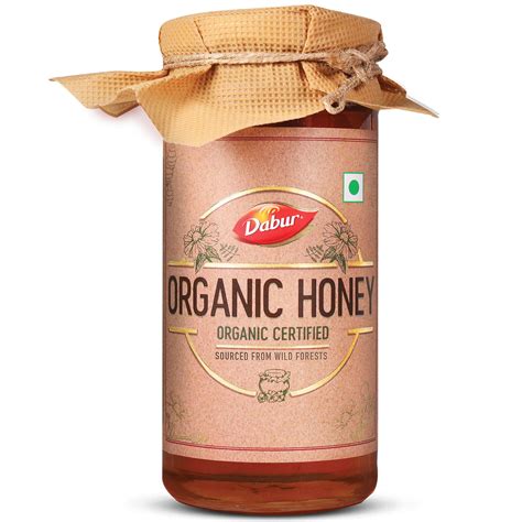 Dabur Raw Organic Honey 500g 100 Pure And Natural Npop | Desertcart INDIA