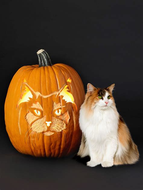 Halloween Pumpkin Cat Stencils