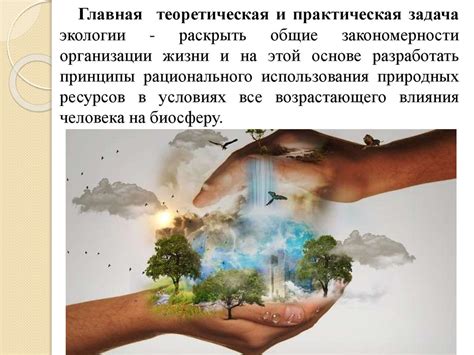 Введение в экологию - презентация онлайн