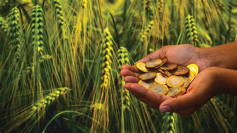 A Comprehensive Guide on How to Access Agricultural Loans and Grants in ...