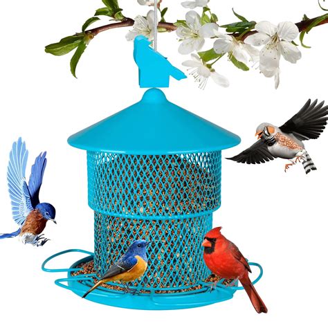 6 Best Bird Feeders for Mealworms (Proven And Reliable!)