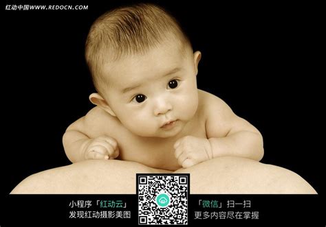 下载 初生婴儿视觉激发卡·彩色卡+黑白卡(套装共2册) pdf 免费