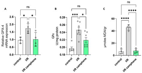 Camphene as a Protective Agent in Myocardial Ischemia/Reperfusion Injury