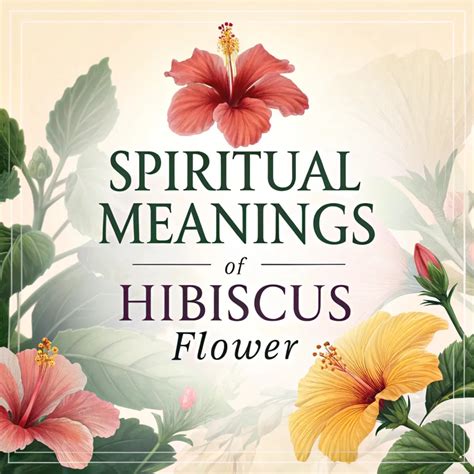 11 Spiritual Meanings of Hibiscus Flower: A Guide to Nature's Divine ...