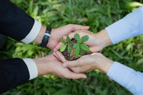 Strong Partnership 的图像结果