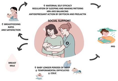 From Breastfeeding to Support in Mothers’ Feeding Choices: A Key Role ...