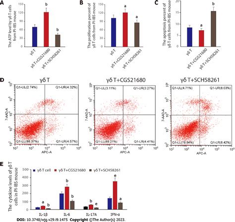Adenosine 2A receptor contributes to the facilitation of post-infectious irritable bowel ...