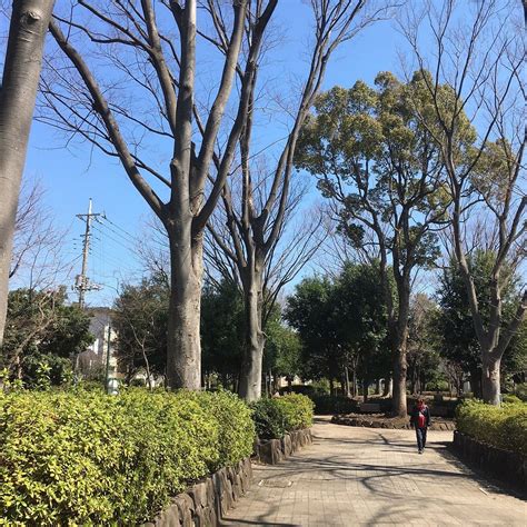 KITAFUCHU PARK - All You Need to Know BEFORE You Go 2026 (with Photos ...