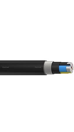 Polycab 25 Sqmm 4 Core Aluminium Armoured Low Tension Cable, A2XFY ...