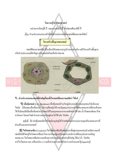 Image result for Cell Basic