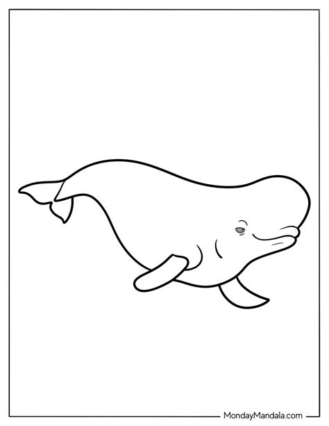 Beluga Whale Coloring Page 12 Whale Coloring Pages (Free Printable