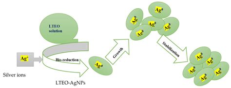 Optimization, Characterization, and Biological Applications of Silver ...