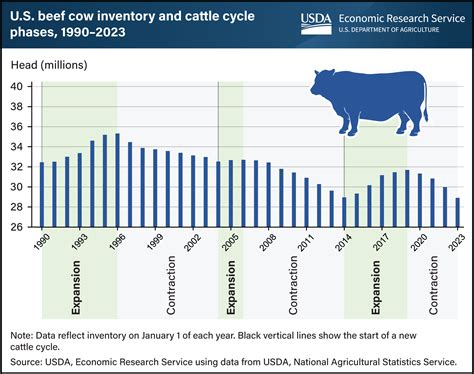 US beef cow inventory settling at progressively lower levels | The Beef ...