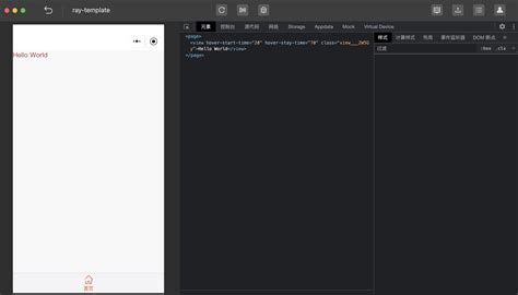 Ray Code 的图像结果