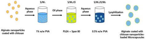 Biodegradable Nanoparticles-Loaded PLGA Microcapsule for the Enhanced ...
