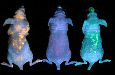 Technological Inventions 的图像结果