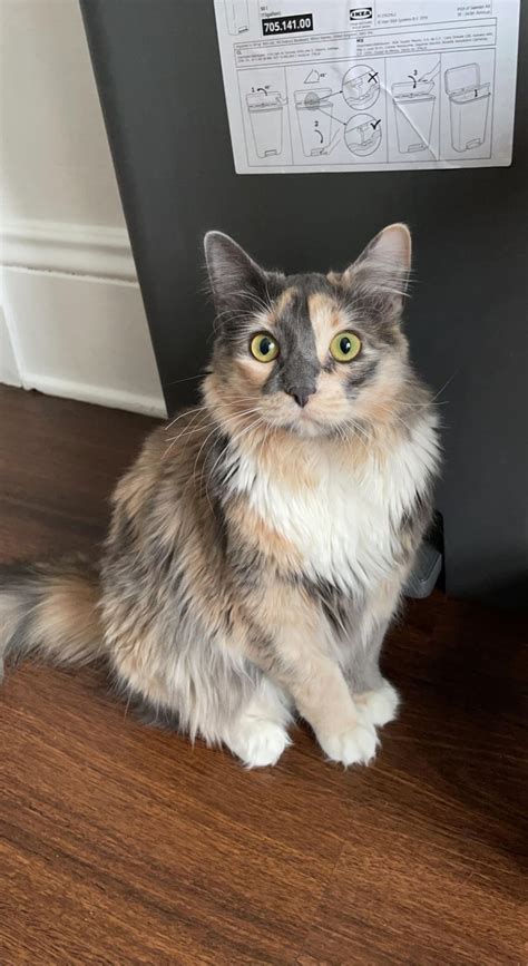 Image result for Ruby Rue