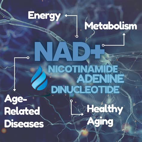 Why You Need NAD+ Now — Purifi IV