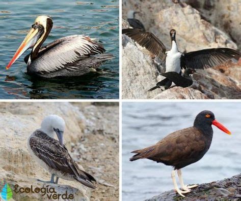 Image result for Android Developer Portfolio