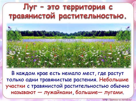 Что такое луг? - online presentation