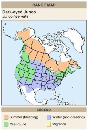 Image result for Beautiful Computer Map