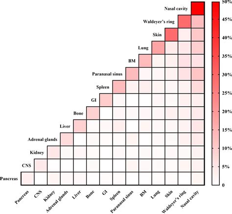 Frontiers | Treatment, Survival, and Prognosis of Advanced-Stage Natural Killer/T-Cell Lymphoma ...