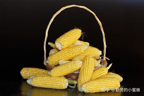 鲜食玉米有哪些营养成分？ - 农业种植网
