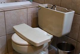 Image result for Liquid Plumber for Toilet Clogs
